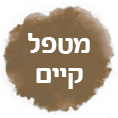 מטפל קיים