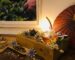 sleeping